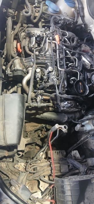 Mecanic autoturisme si camioane