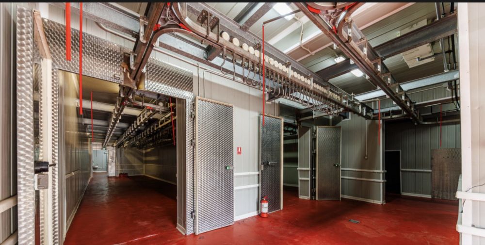 Linie aeriana inox incarcare / descarcare pentru transare, maturare