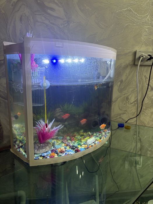 Akvarium sotiladi