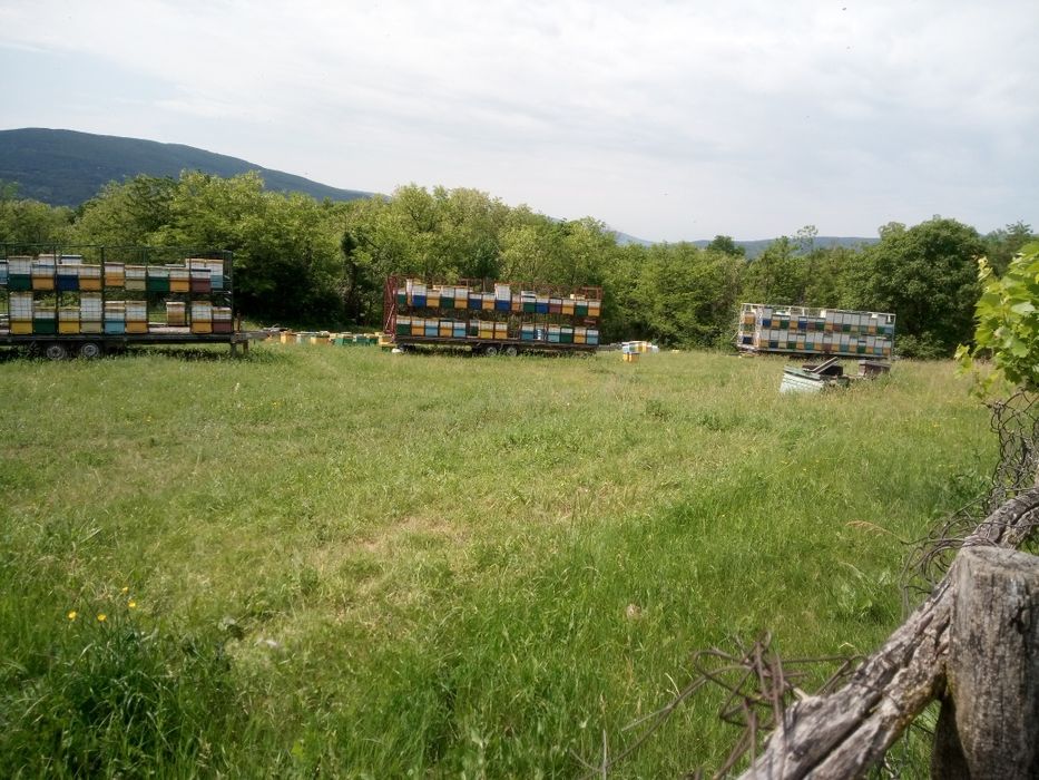 Parcare rulota și ambarcatiuni