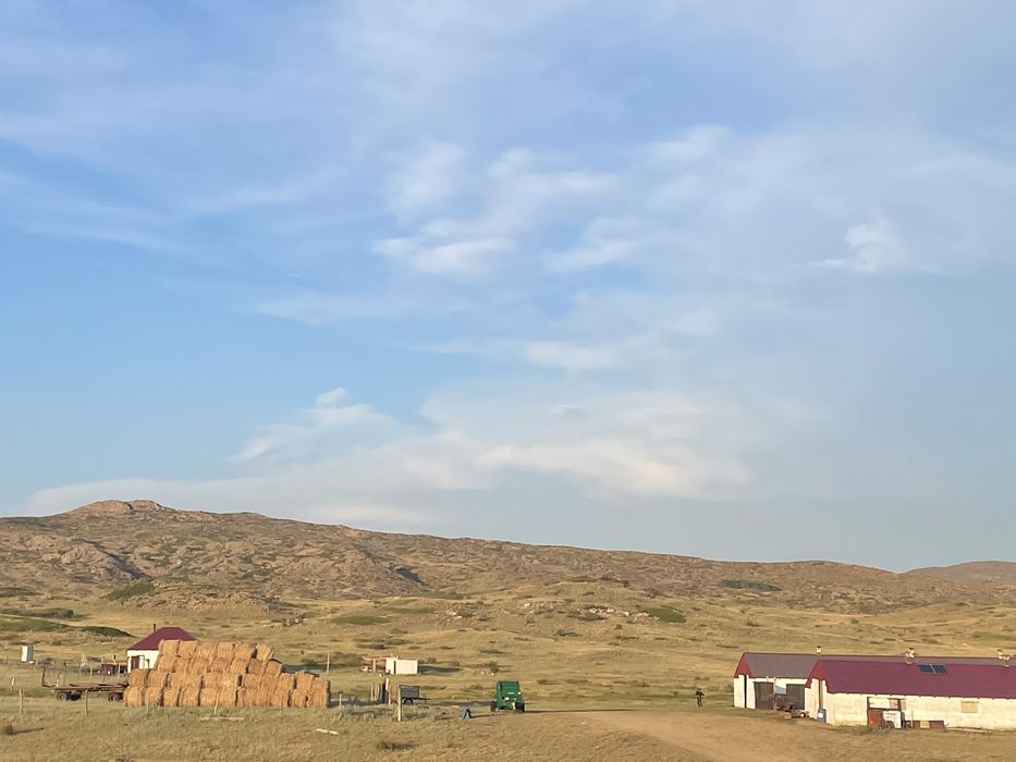 СРОЧНО!!! Крестьянское хозяйство продается