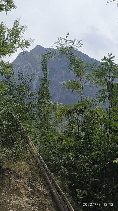 Дом и чистый воздух