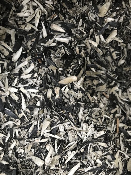 лузга Шелуха семечки подсолнуха