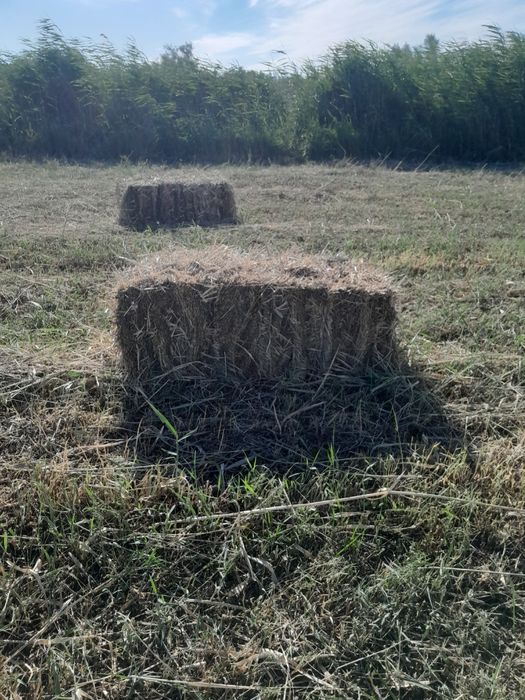 Piress sotiladi narxini kelishtiramiz