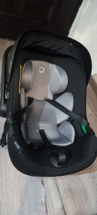 Vand scoica auto Coccolle