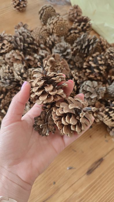 Шишки сосновые 170 шт для декора