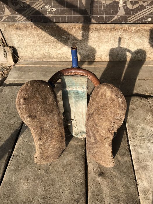 Қырғыз ертоқым көкпар