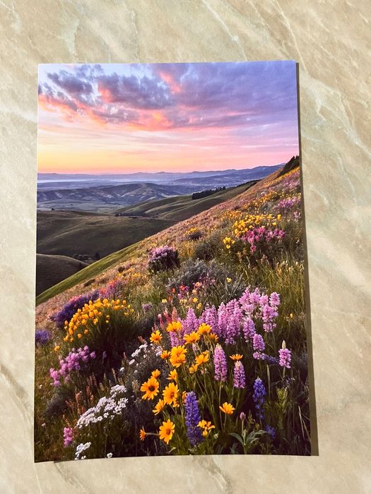 Копиране на снимки 50 снимки 5евро