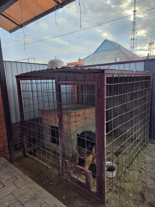 Вольер и будка для содержания животных