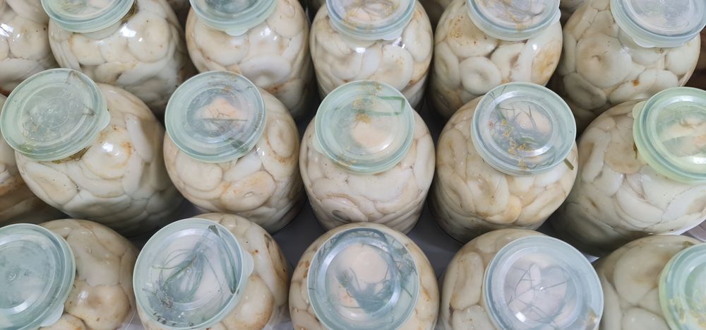 Грузди лесные солёные .