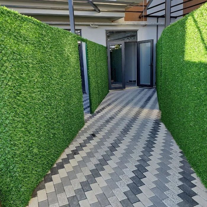 Суний газон ва девор