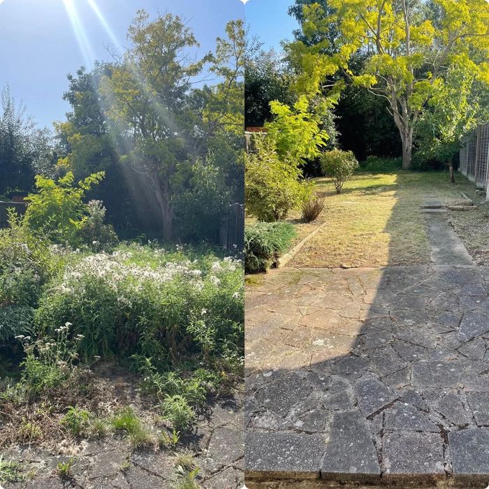 Servici Gradinarit , Spati verzi, Scari de bloc, tuns garduri, Gazon