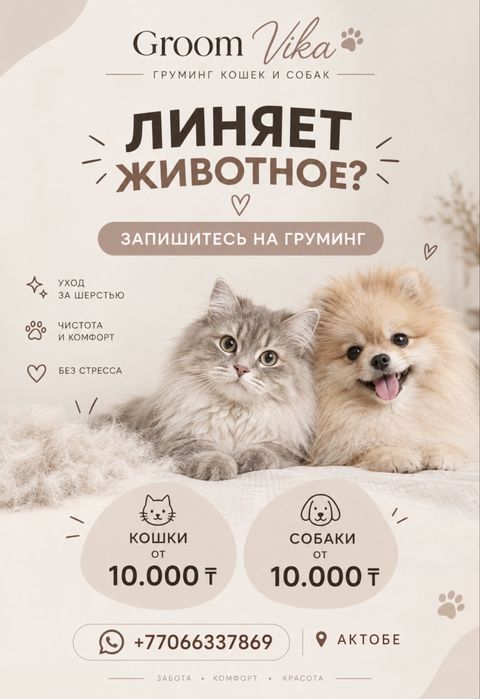 Вычес кошек и собак Актобе Груминг