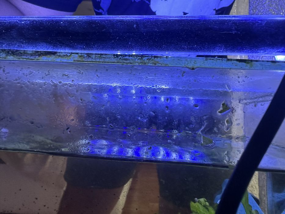 Авариум 15 литра с камани