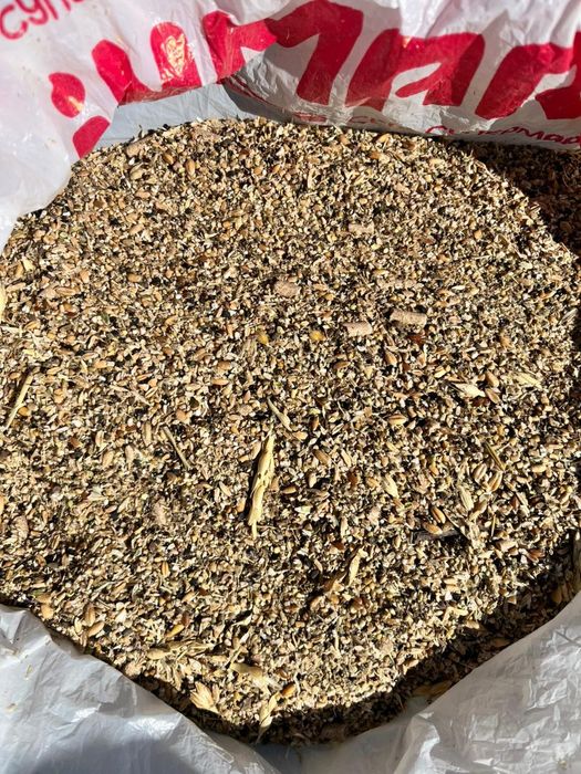 Зерноотходы пшеничные