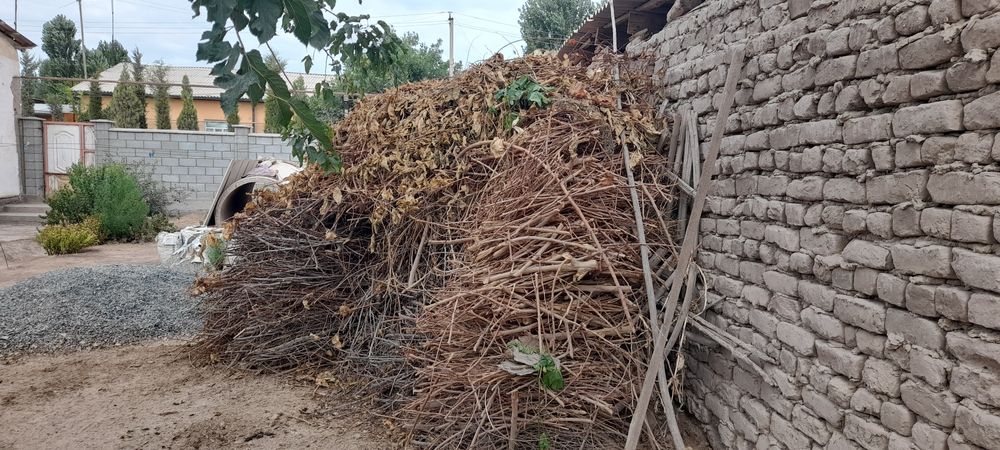 Отын сатылады тайын шауып майдаланган