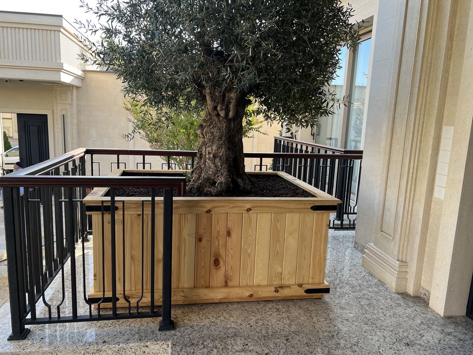 Кашпо, горшки, вазоны (гул тувак) для ваших цветов и растений