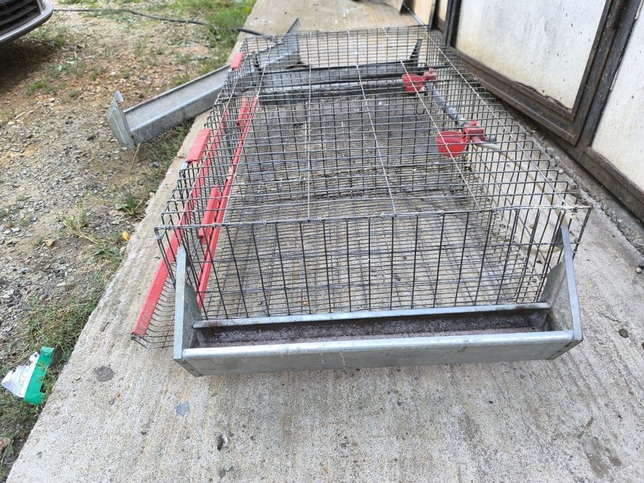 Vând cușcă prepelițe