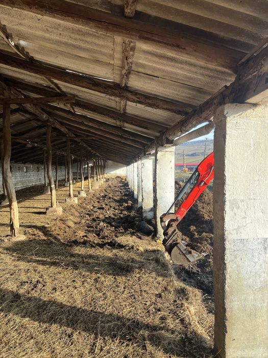 Inchiriez , prestez servicii mini excavator cu operator