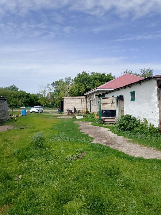 Продам дом часны
