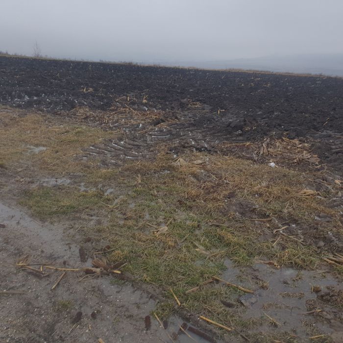 Vand/inchiriez teren (extravilan)