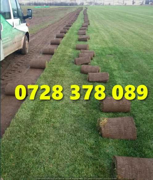 Gazon / Insamantare / Rulouri de Gazon