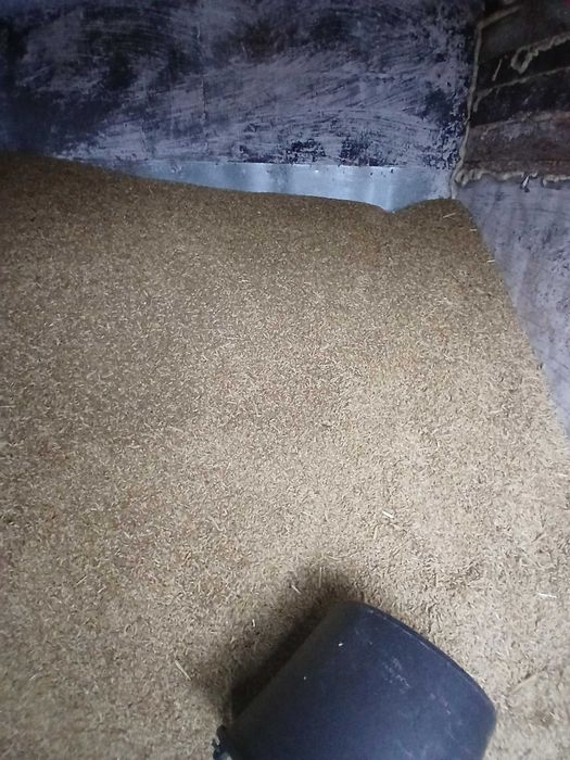 Cereale direct producator