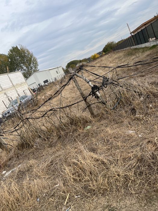 Teren intravilan Nanov - intrare Alexandria