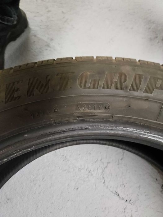 Goodyear EfficientGrip 225 55 19