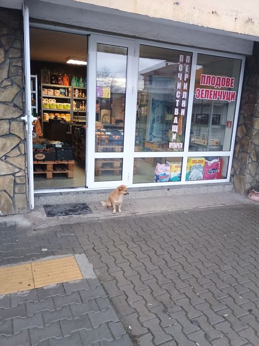 Дава се под наем Магазин в Стара Загора, Кольо Ганчев - 50 кв.м за 295.8 € - Снимка #1