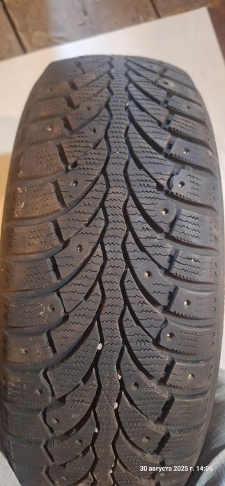 Два баллона, зимние,10000.