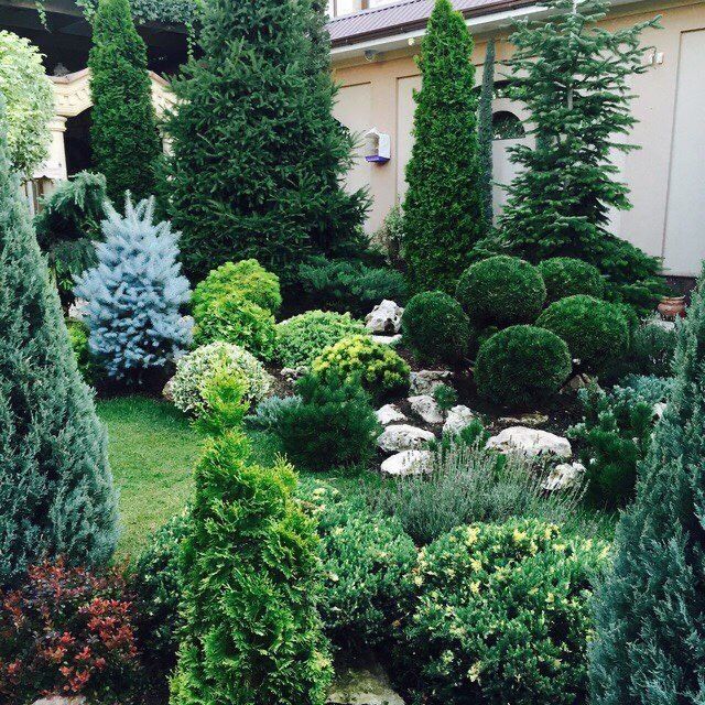 Landshaftniy dizayn (hammasi o’zimizzi ishla internetdan olinmagan)