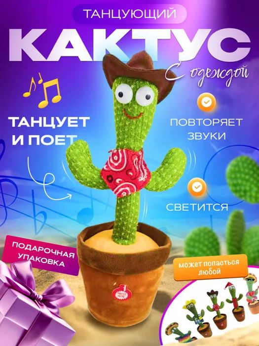 Raqsga Tushadigan Qo‘g‘irchoq Gul / Kaktus Shlyapali / Kaktus