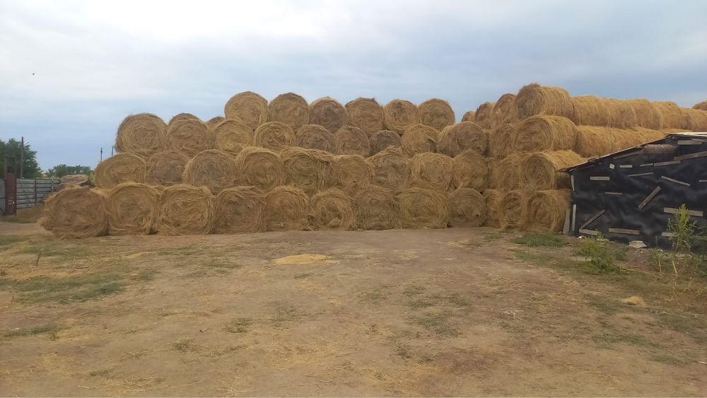 Сено на продажу