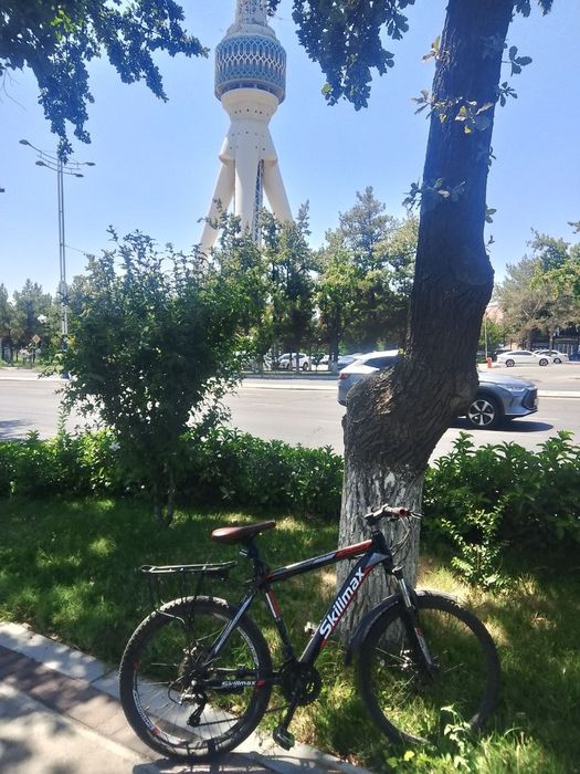 Velosiped arzon narxda