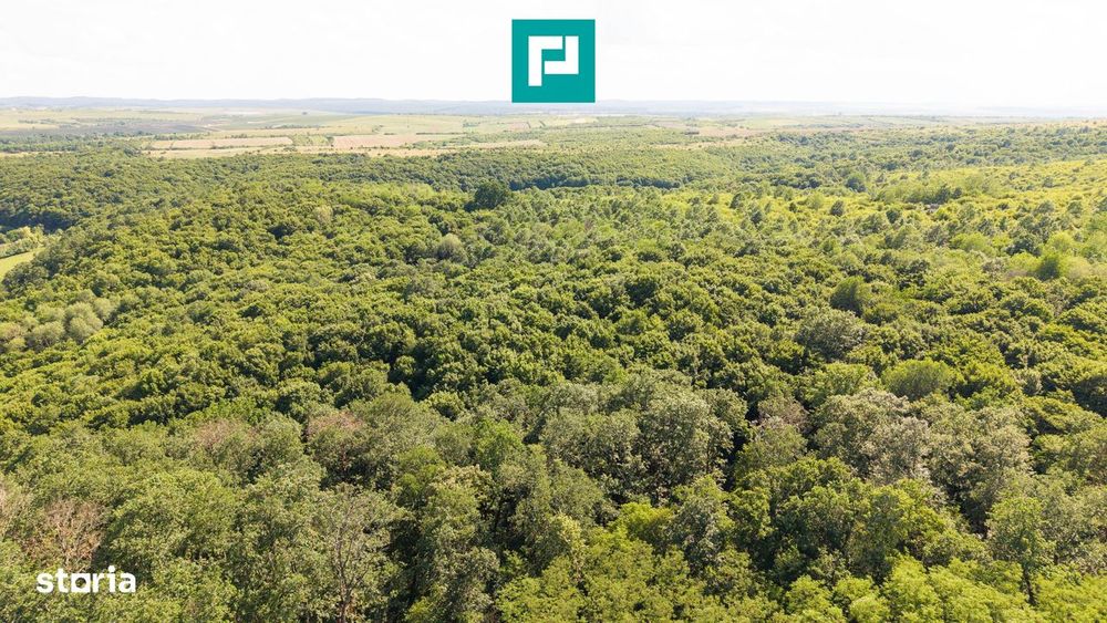 Teren Agricol Extravilan  22.900 Mp Lipova