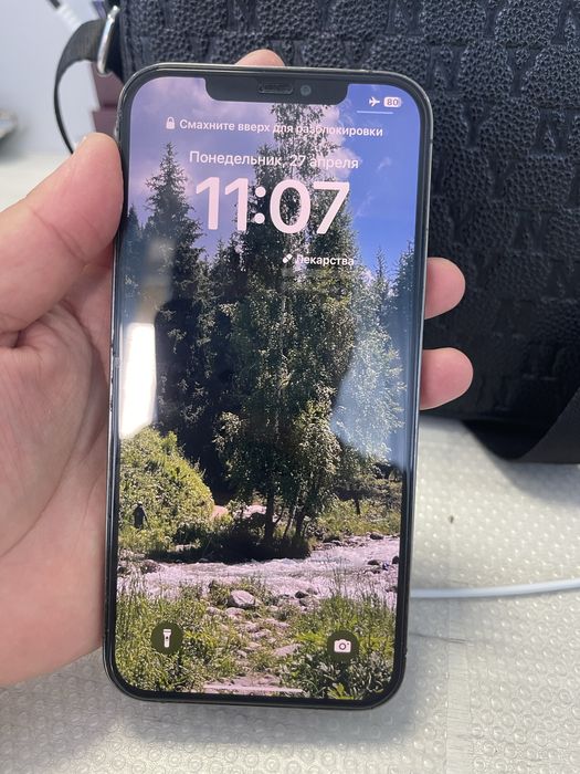 iPhone 12 Pro Max 256 gb