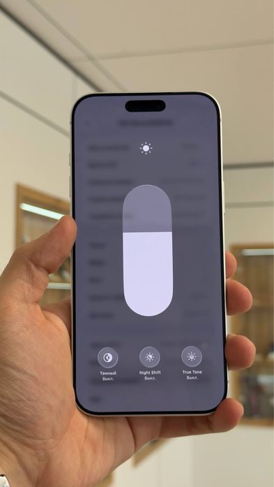 iPhone 17 Pro Max | 256 GB