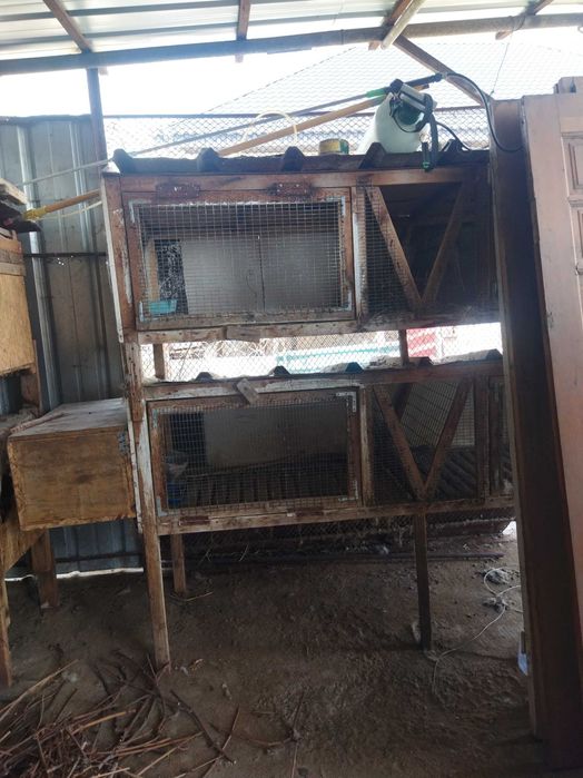 Клетки для кроликов