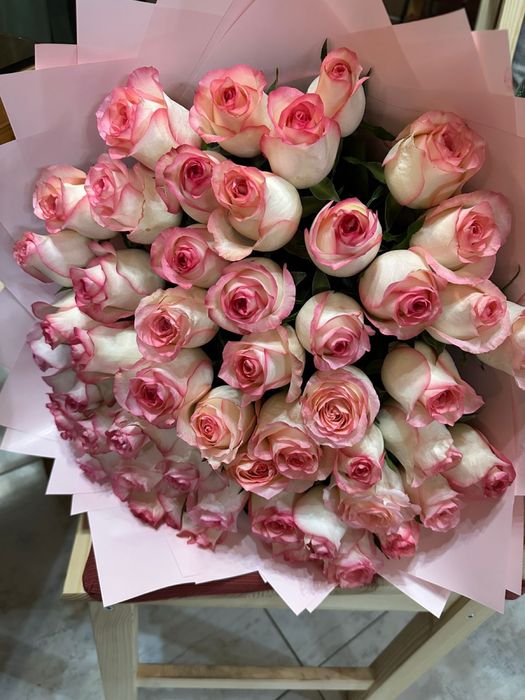 51 роза — ерекше сыйлық