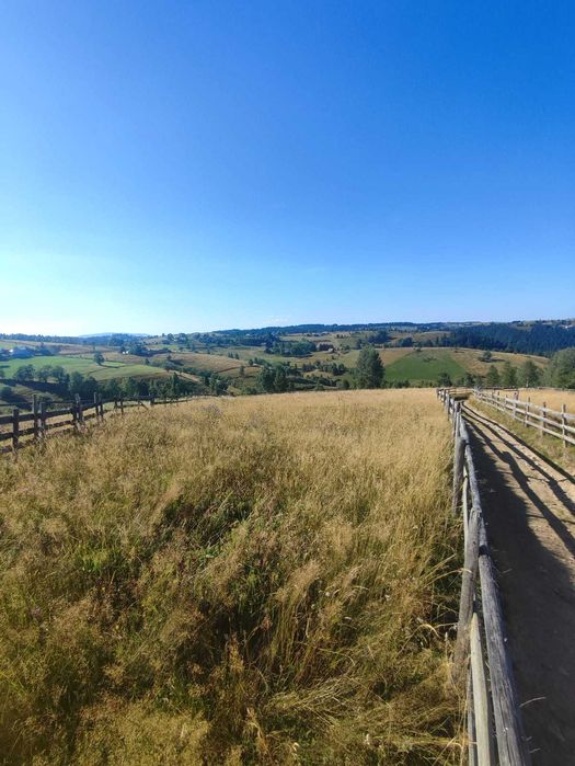 Teren intravilan in Maguri