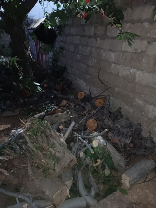 Продается дрова ўтин сотилади срочно