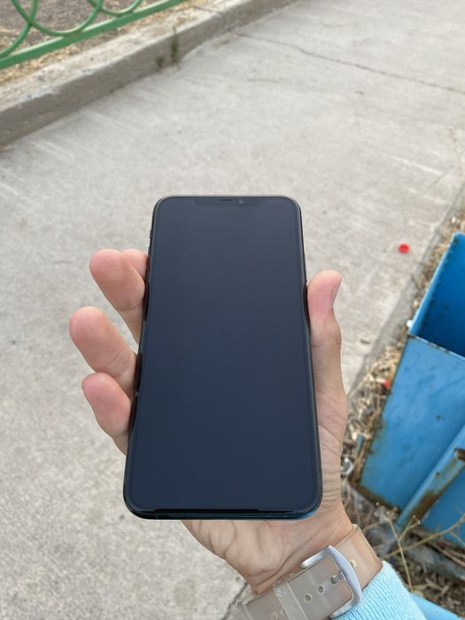 11 про мах 256