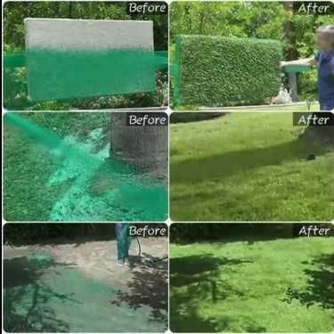 Озеленител - спрей за бързо и лесно озеленяване с райграс