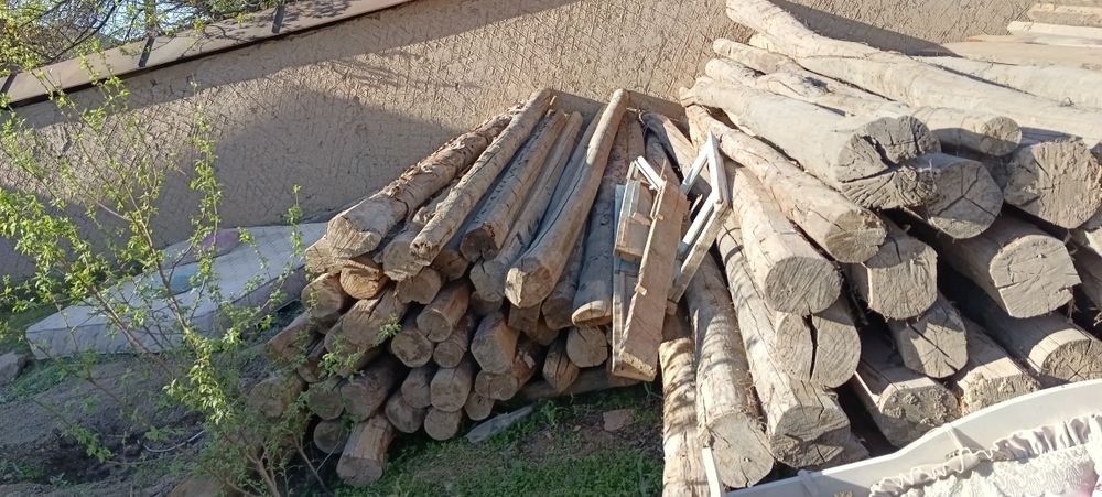 Тахта тусинлар Страпила сотилади