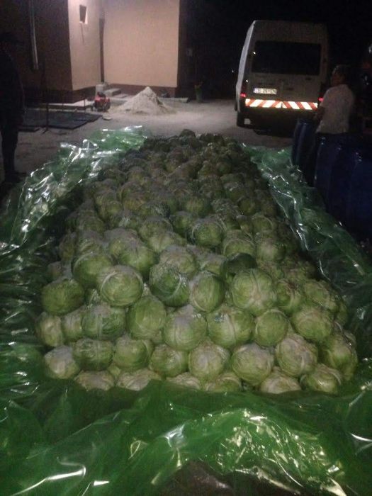 Varza murata romaneasca calitatea1 la nevoie asigur si transport