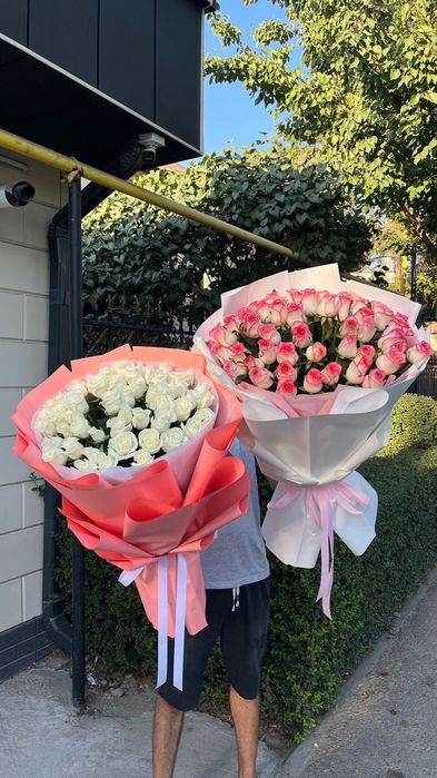 Фиалки, голландские пионы