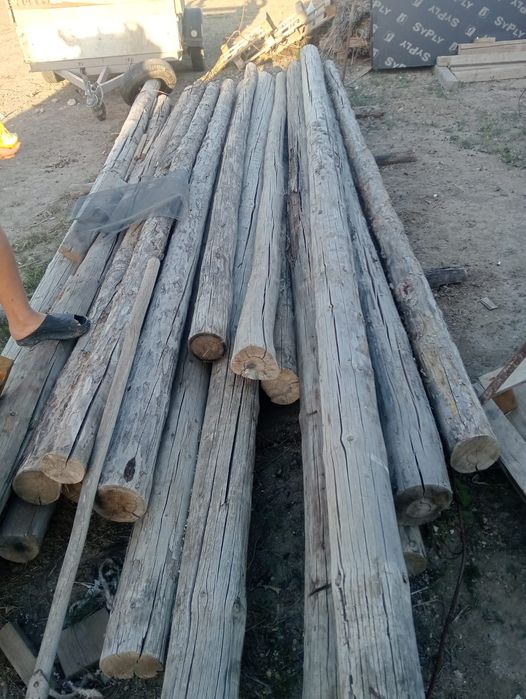 Бревно штука 5500тг