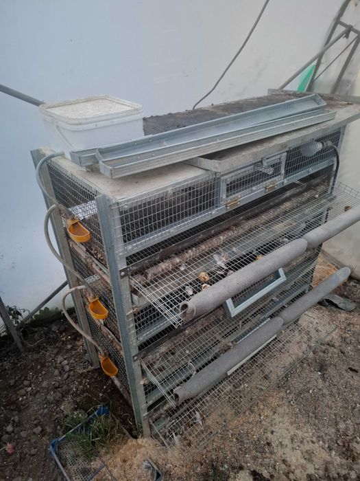 Триетажна клетка оборудвана за отглеждане на падпадъци