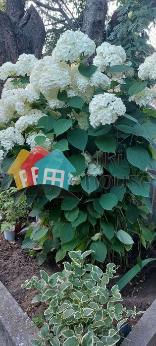 Вила в Варна-м-т Боровец - юг площ 60 цена 118900